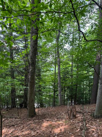 Lot 18 Woods Drive, Traverse City, MI 49686