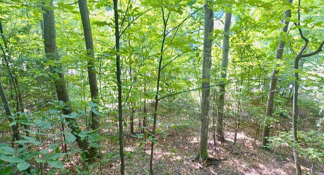 Lot 18 Woods Drive, Traverse City, MI 49686