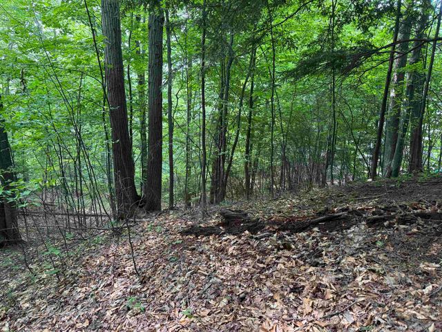 Lot 18 Woods Drive, Traverse City, MI 49686