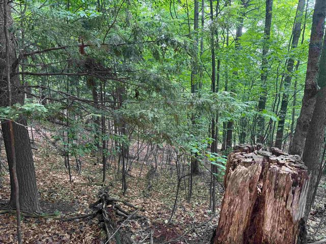 Lot 18 Woods Drive, Traverse City, MI 49686