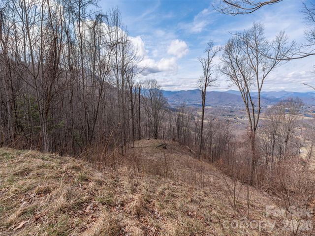 399 Goodson Spring Road, Waynesville, NC 28786
