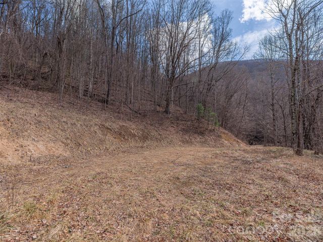 399 Goodson Spring Road, Waynesville, NC 28786