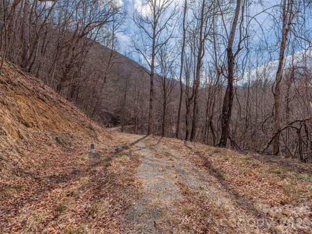 399 Goodson Spring Road, Waynesville, NC 28786