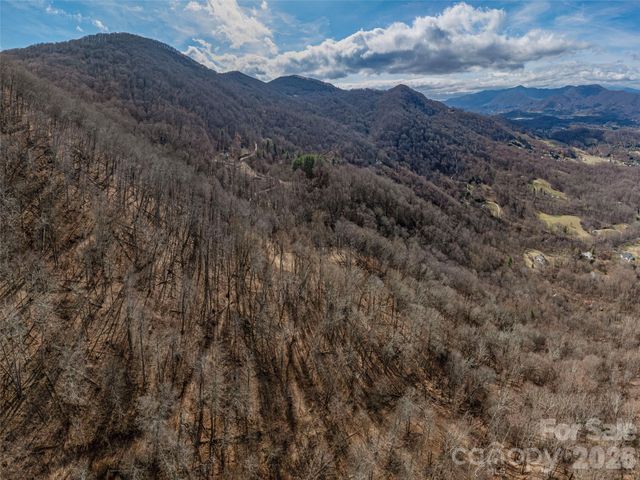 399 Goodson Spring Road, Waynesville, NC 28786