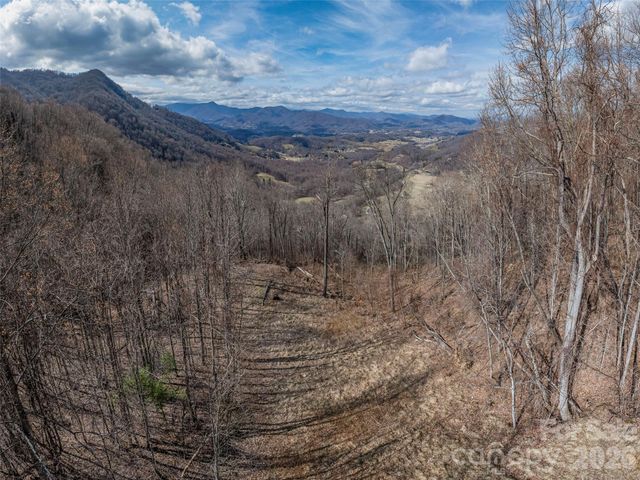 399 Goodson Spring Road, Waynesville, NC 28786