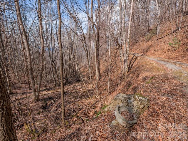 399 Goodson Spring Road, Waynesville, NC 28786