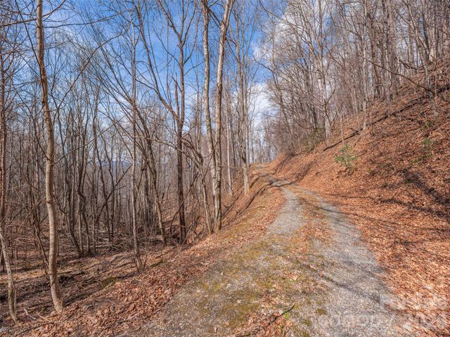 399 Goodson Spring Road, Waynesville, NC 28786