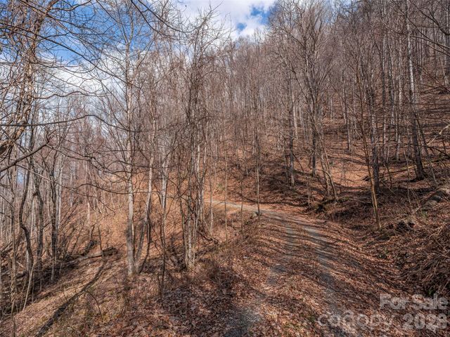 399 Goodson Spring Road, Waynesville, NC 28786