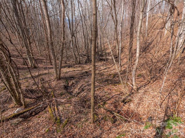 399 Goodson Spring Road, Waynesville, NC 28786