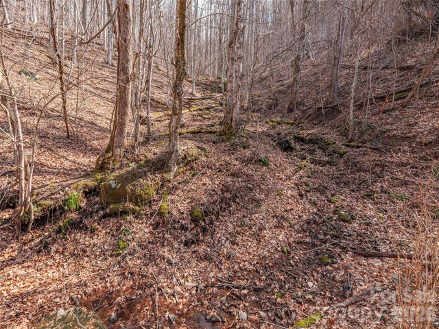 399 Goodson Spring Road, Waynesville, NC 28786