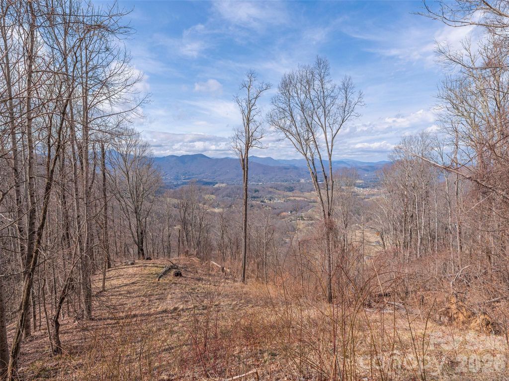 399 Goodson Spring Road, Waynesville, NC 28786