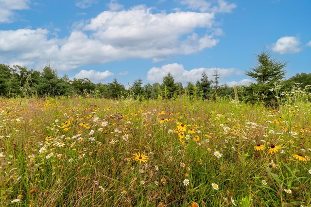 24555 Emstad Road, Brainerd, MN 56401