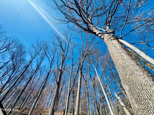 2 Rovan Circle, Johnson City, TN 37601