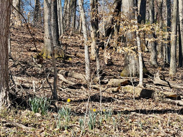 2 Rovan Circle, Johnson City, TN 37601