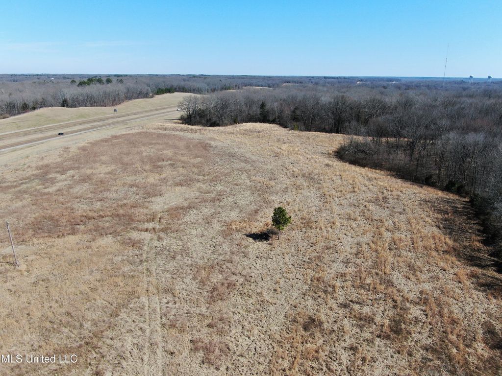 252 Shinpoch Lane, Olive Branch, MS 38654 — photo 2