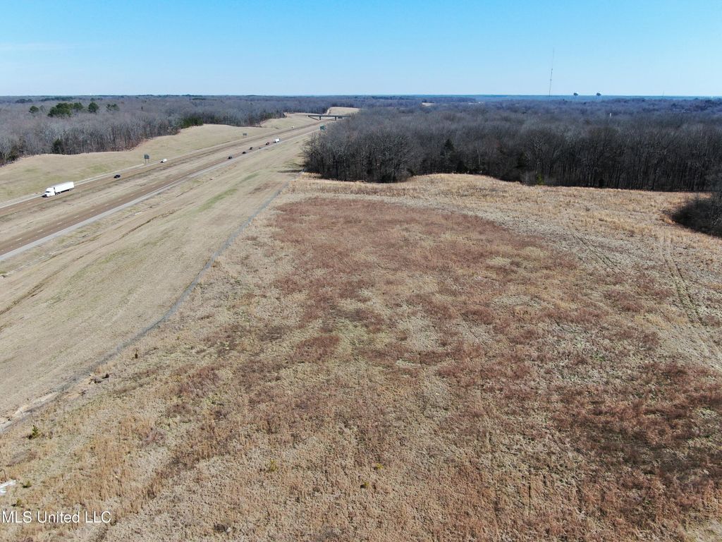252 Shinpoch Lane, Olive Branch, MS 38654 — photo 3