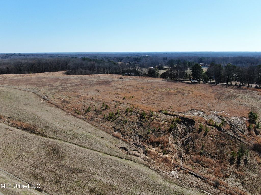 252 Shinpoch Lane, Olive Branch, MS 38654 — photo 4
