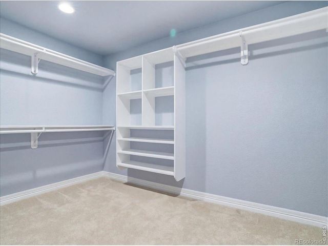 8443 Castaway Drive, Windsor, CO 80528