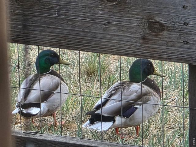 2017 Sicily Cir, Longmont, CO 80503