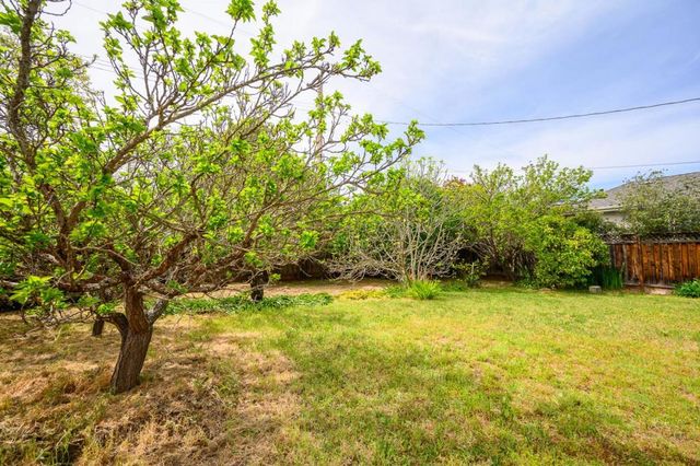 2704 Louis Road, Palo Alto, CA 94303