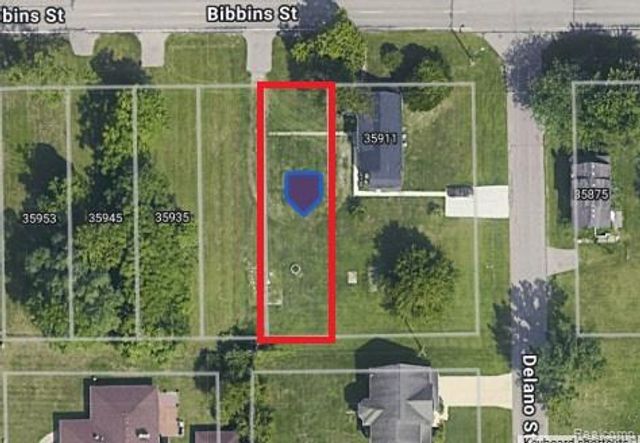 Vacant Bibbins Street, Romulus, MI 48174