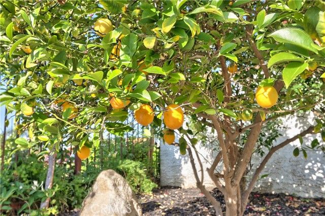 31384 Corte Tunas, Temecula, CA 92592