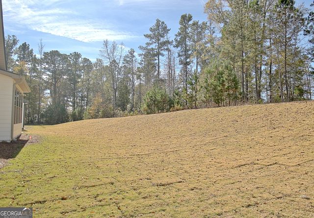 480 Werner Way, Senoia, GA 30276