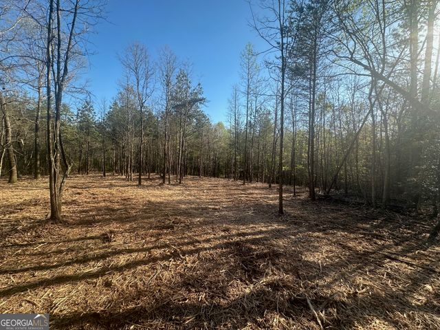 0 Lee Mashburn Road, Dahlonega, GA 30533