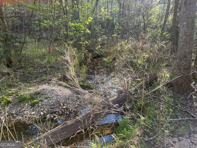 0 Lee Mashburn Road, Dahlonega, GA 30533