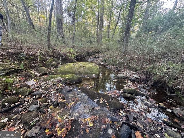 0 Lee Mashburn Road, Dahlonega, GA 30533