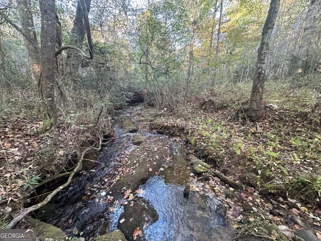 0 Lee Mashburn Road, Dahlonega, GA 30533