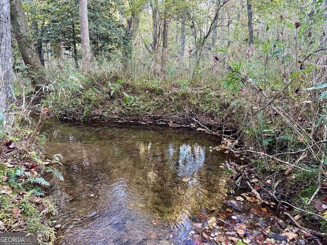 0 Lee Mashburn Road, Dahlonega, GA 30533