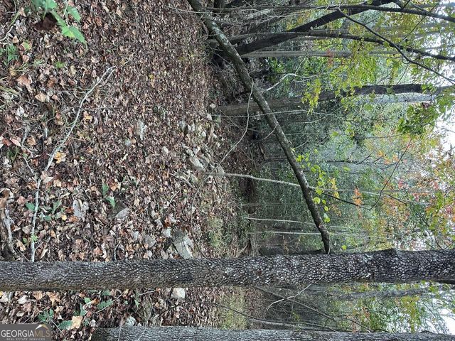 0 Lee Mashburn Road, Dahlonega, GA 30533