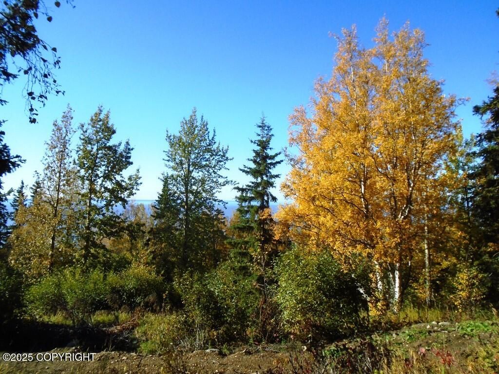Lot 2 Greece Drive, Anchorage, AK 99516