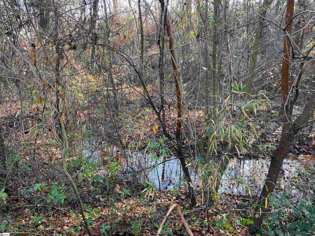 1080 Miller Farm Road, Inman, SC 29349