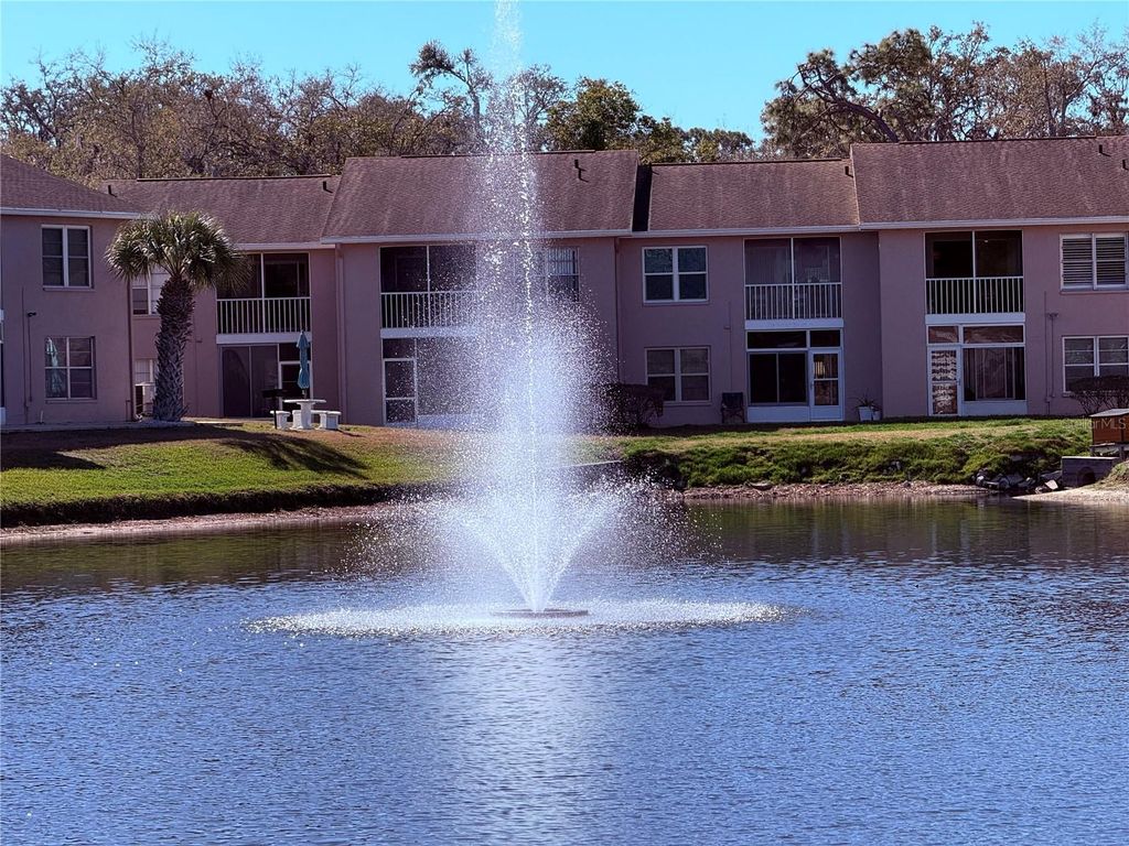 6519 SPRING FLOWER DRIVE 22, New Port Richey, FL 34653