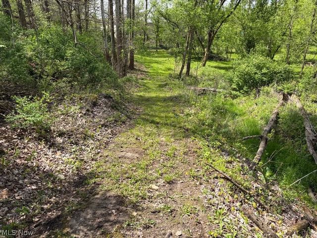 47341 Pitts Road, Wellington, OH 44090