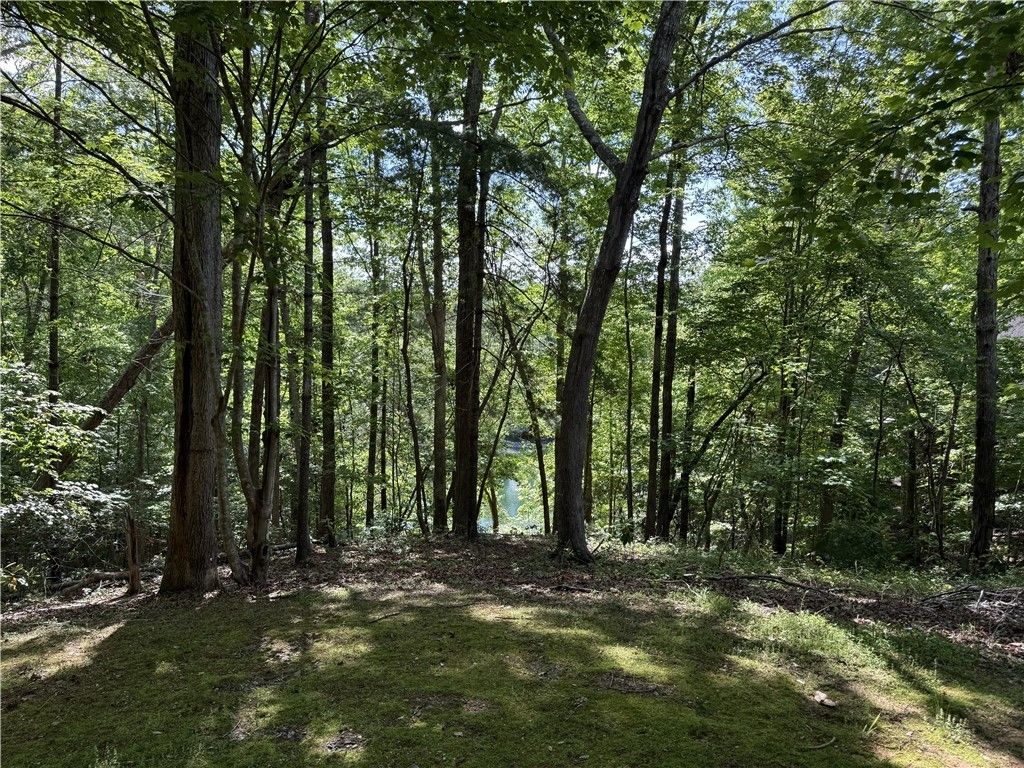 601 Wind Flower Drive, Sunset, SC 29685