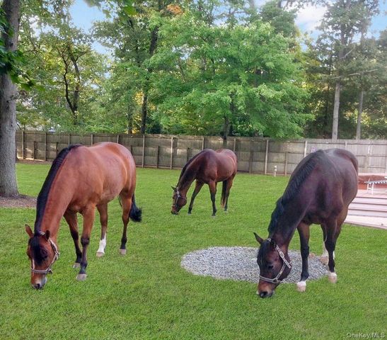 14 Hillside Avenue, Saint James, NY 11780