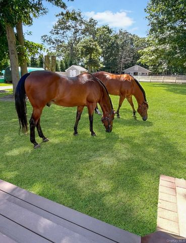 14 Hillside Avenue, Saint James, NY 11780