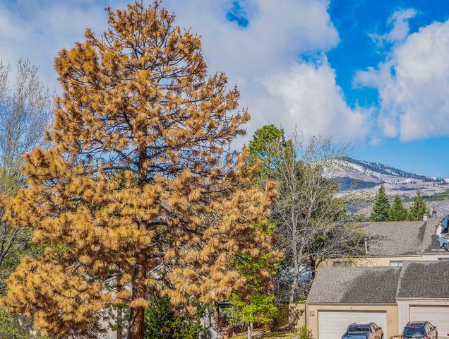 3055 Trinity Drive 423, Los Alamos, NM 87544