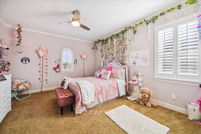 2504 Baywater Canyon Drive, Pearland, TX 77584