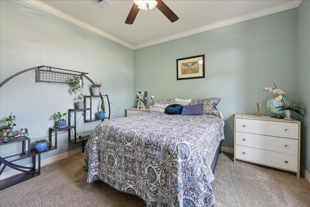 404 Birch View Drive, Lumberton, TX 77657