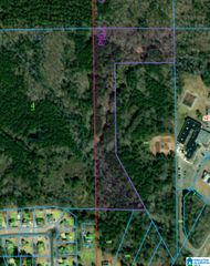 00 HOMESTEAD DRIVE, Cropwell, AL 35054