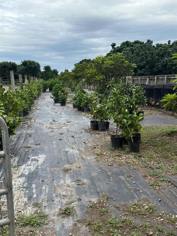 25945 SW 197th Ave, Homestead, FL 33031