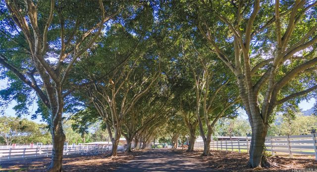 41-569 Makakalo Street, Waimanalo, HI 96795