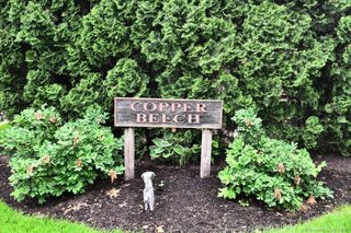 178 Flax Hill Road APT C203, Norwalk, CT 06854