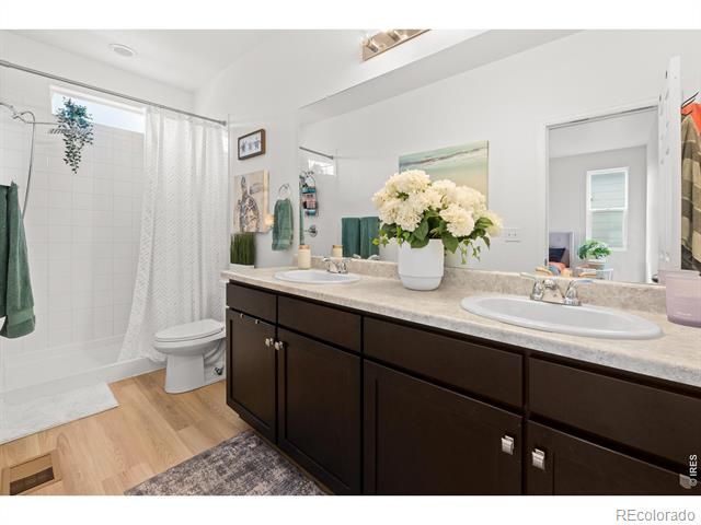 5328 Spalding Place, Frederick, CO 80504