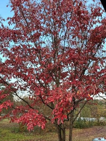 3702 Jonesville Lockhart Hwy Highway, Union, SC 29379