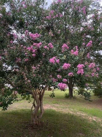 3702 Jonesville Lockhart Hwy Highway, Union, SC 29379